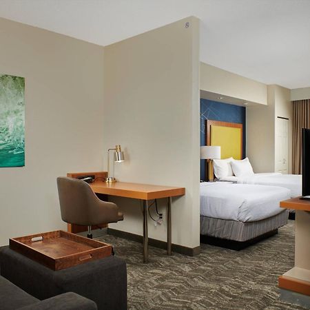 Springhill Suites By Marriott Baton Rouge North / Airport Екстериор снимка
