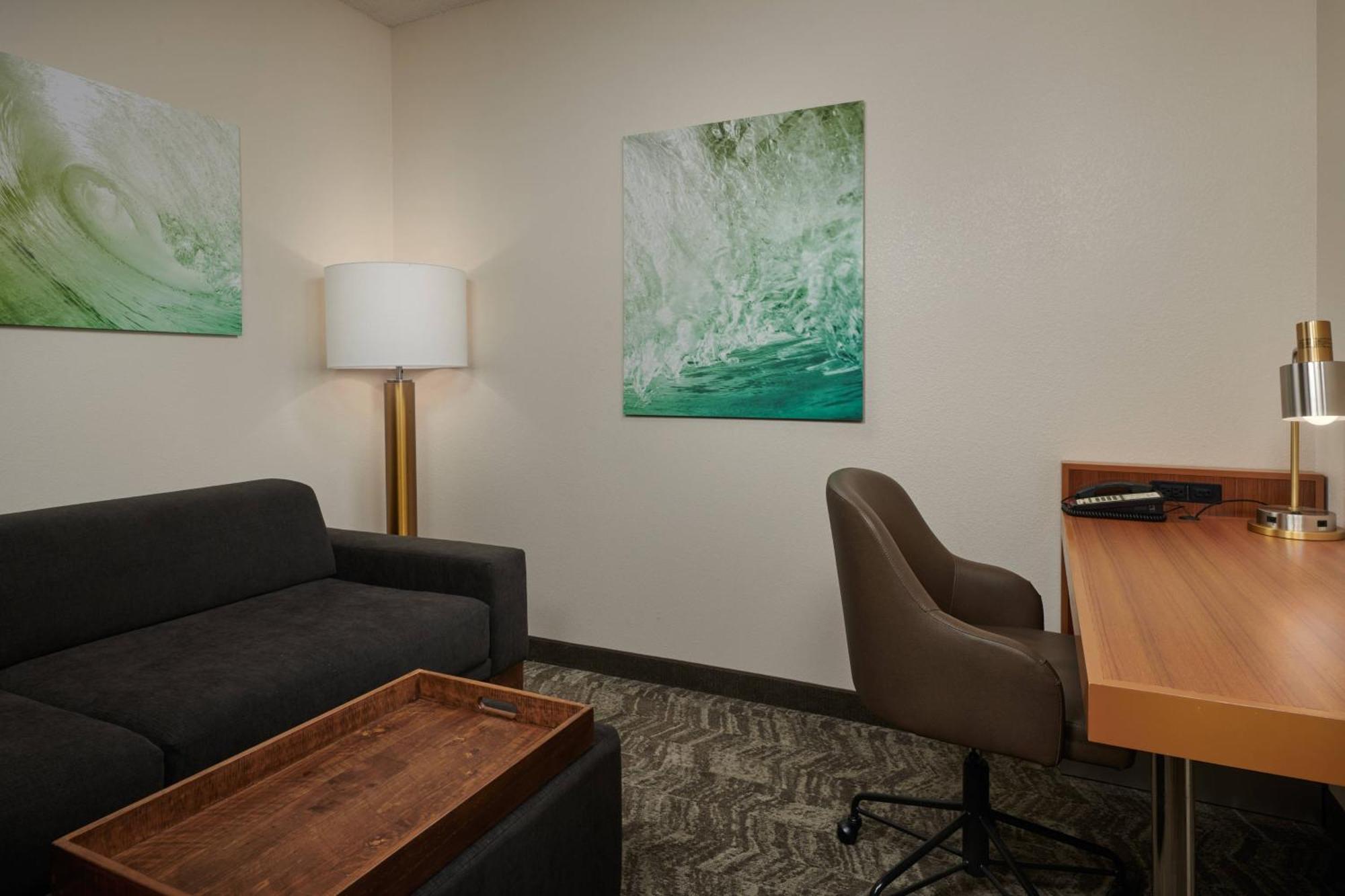 Springhill Suites By Marriott Baton Rouge North / Airport Екстериор снимка